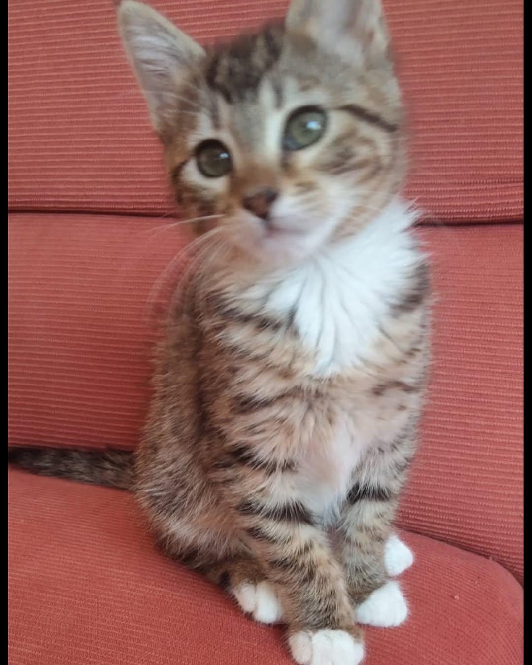 MIA (6/7)