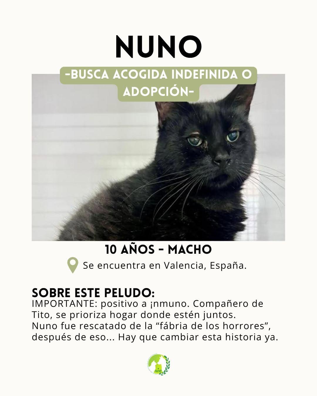 Nuno (2/5)
