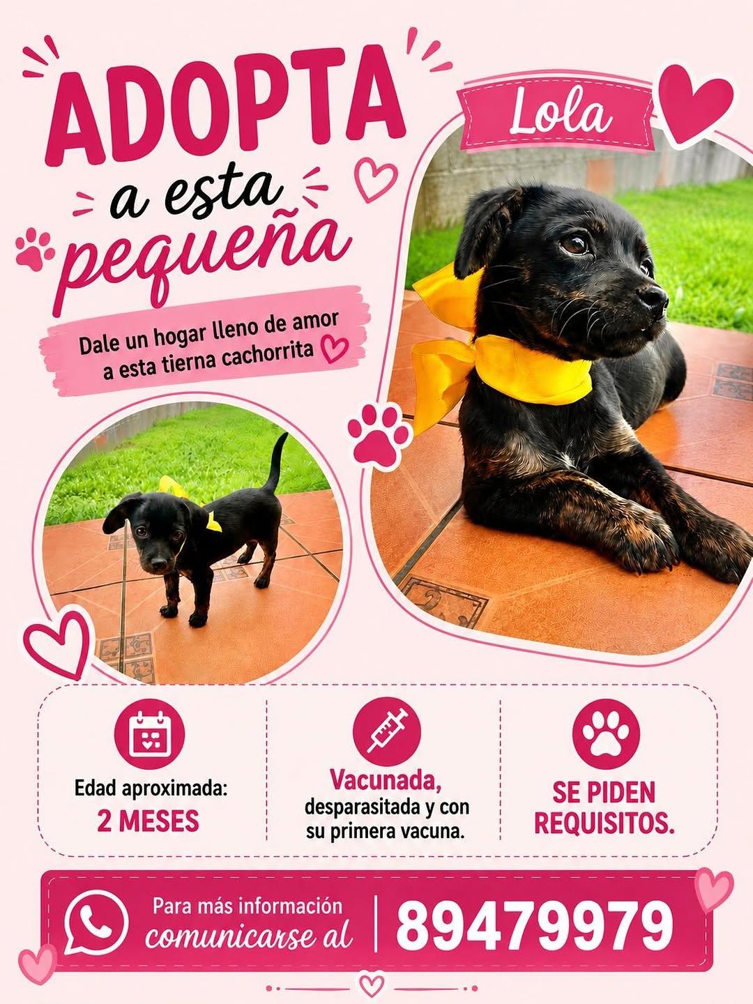 Lola (1/2)