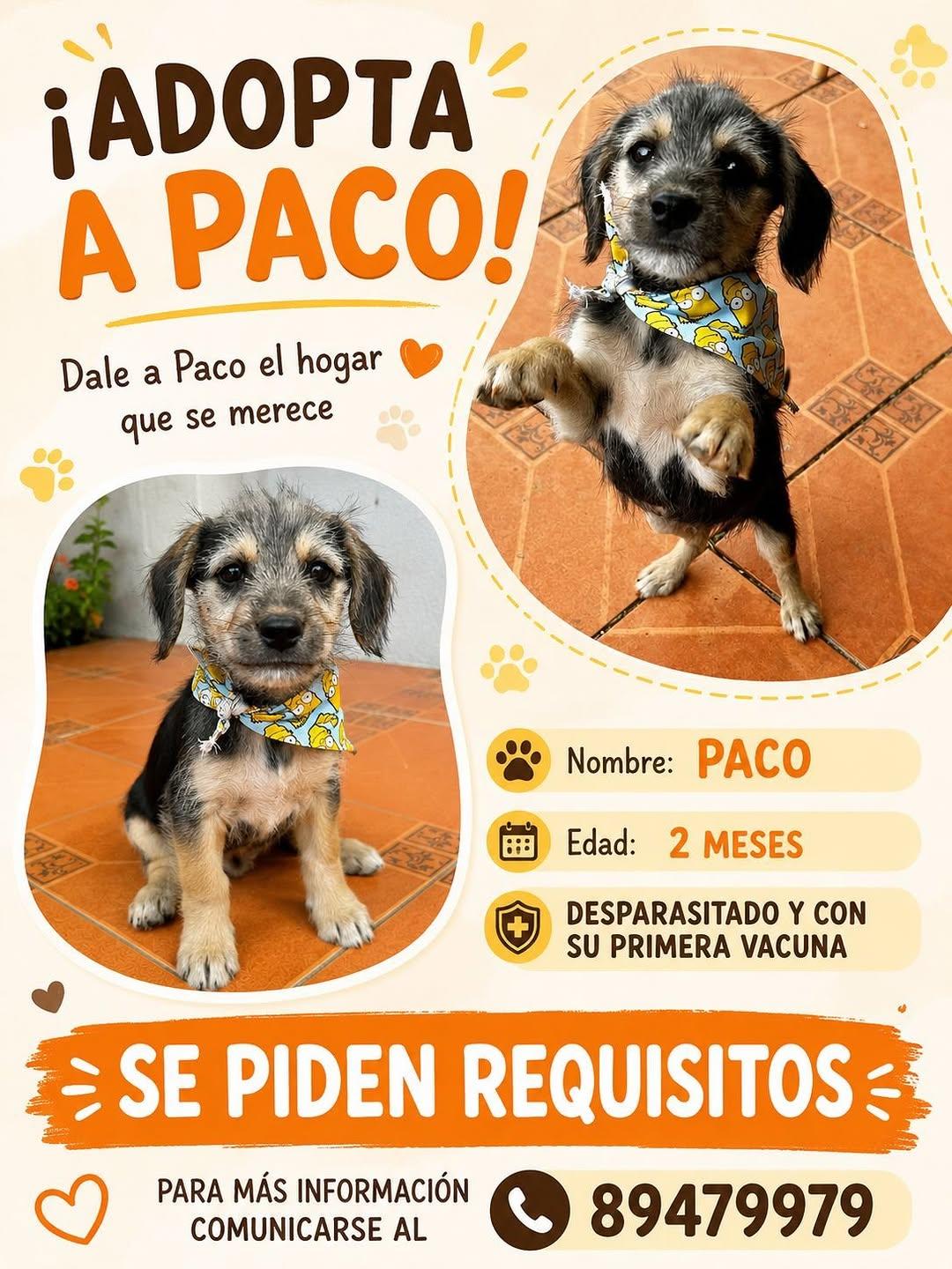 Lola (2/2)