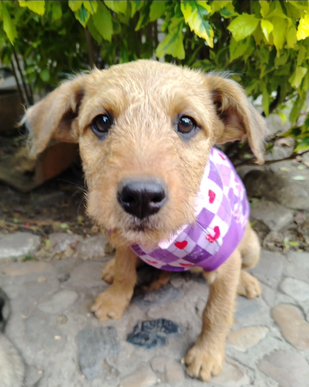 Milky, Paty (2/5)