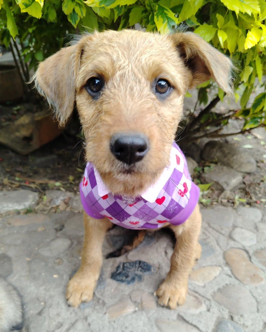 Milky, Paty (3/5)