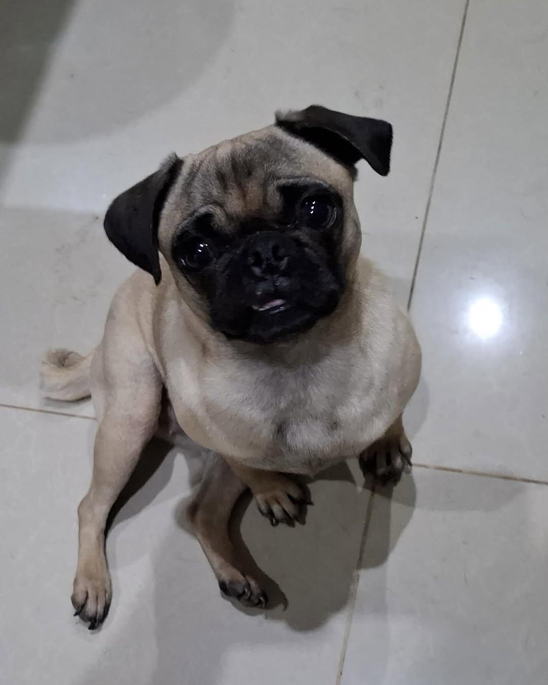 Lila (2/3)