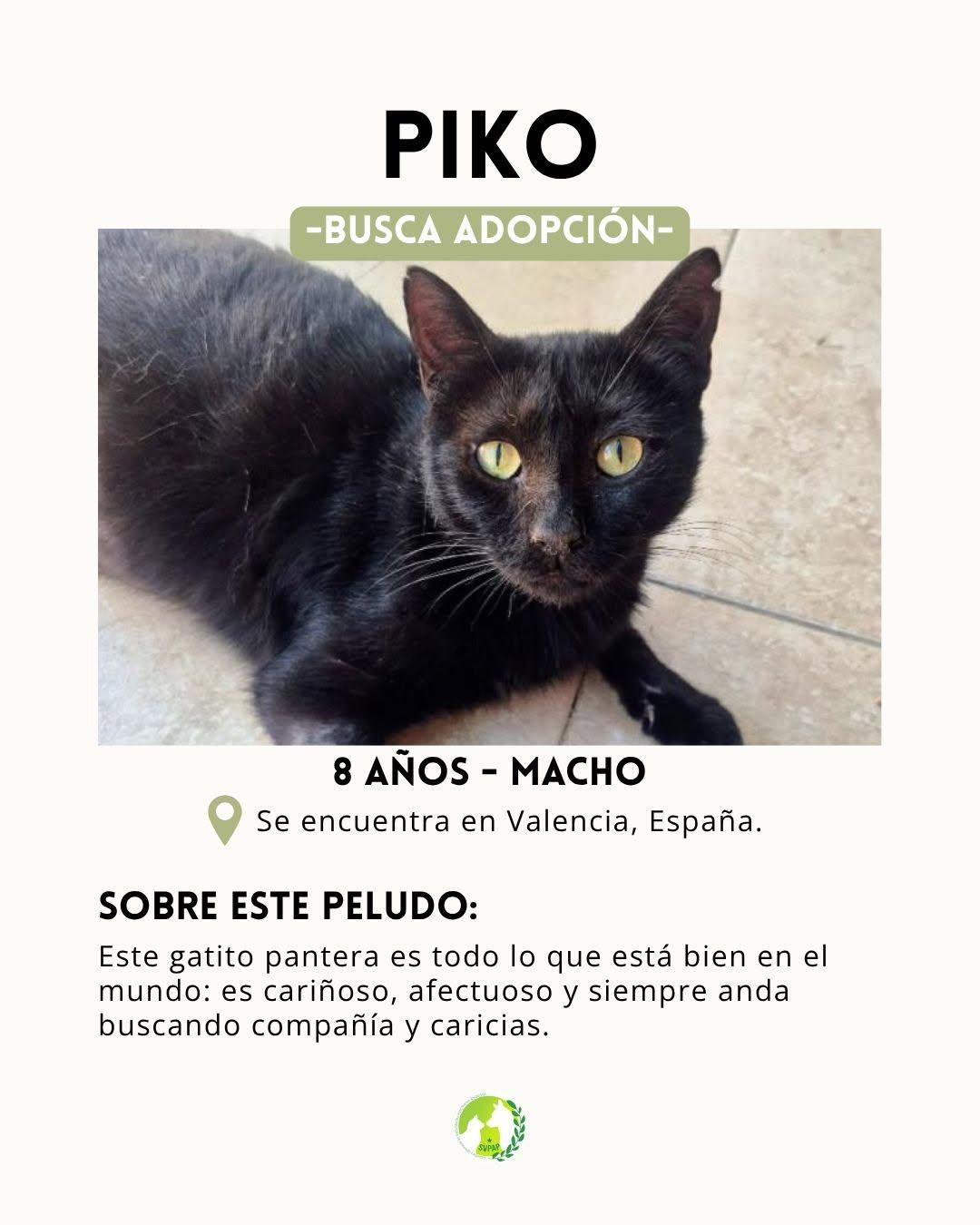 Piko (2/4)