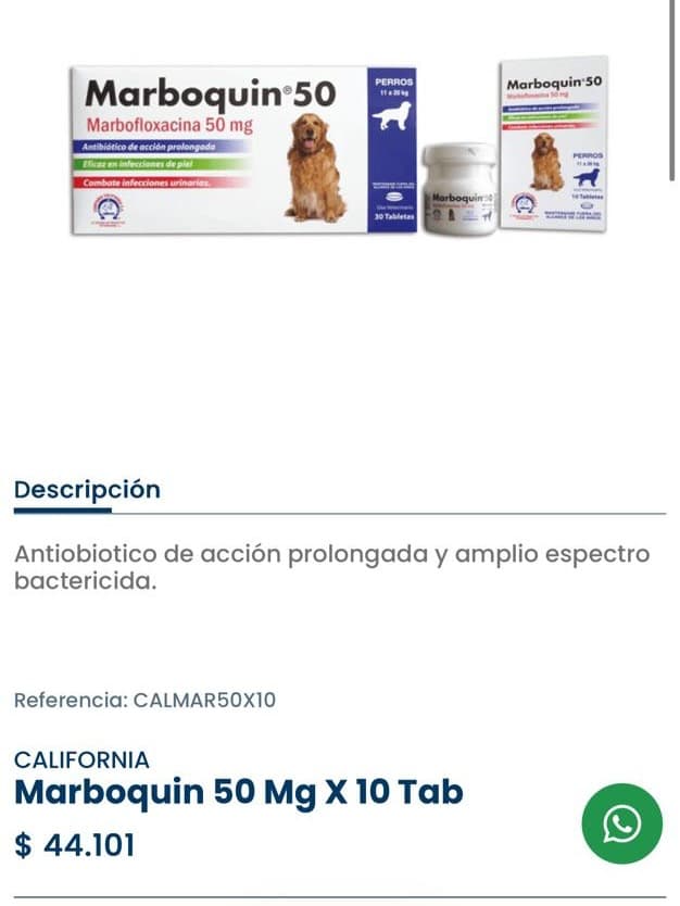 Olímpico (6/6)