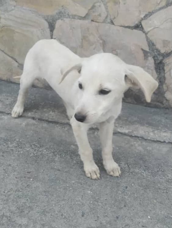 Filomena (7/10)