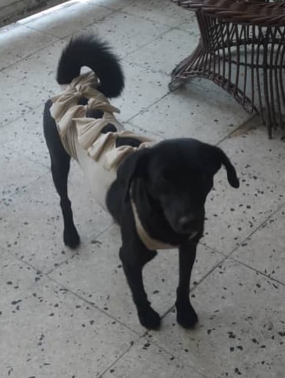 Filomena (8/10)