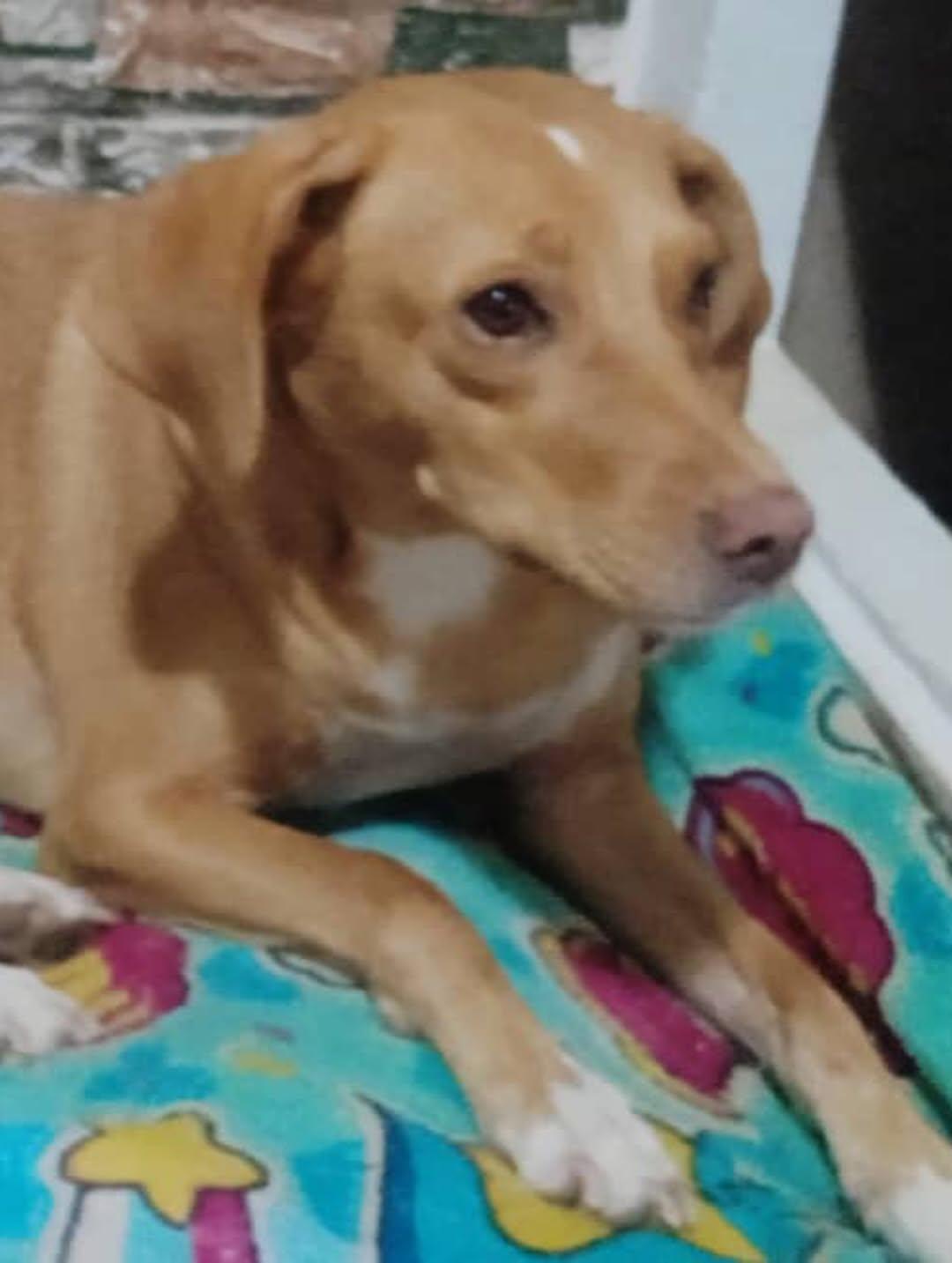 Filomena (10/10)