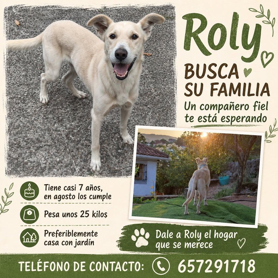 Roly