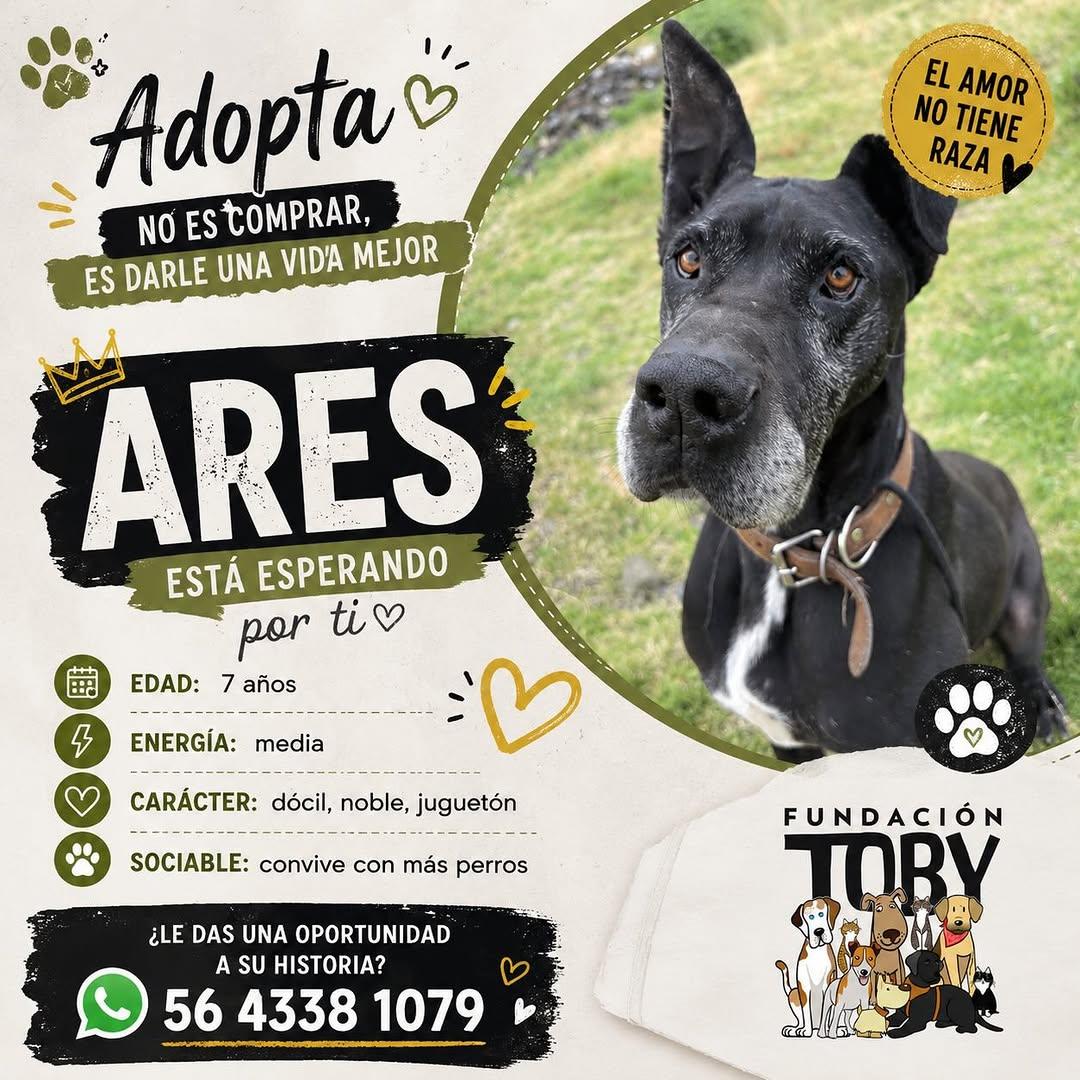 Ares