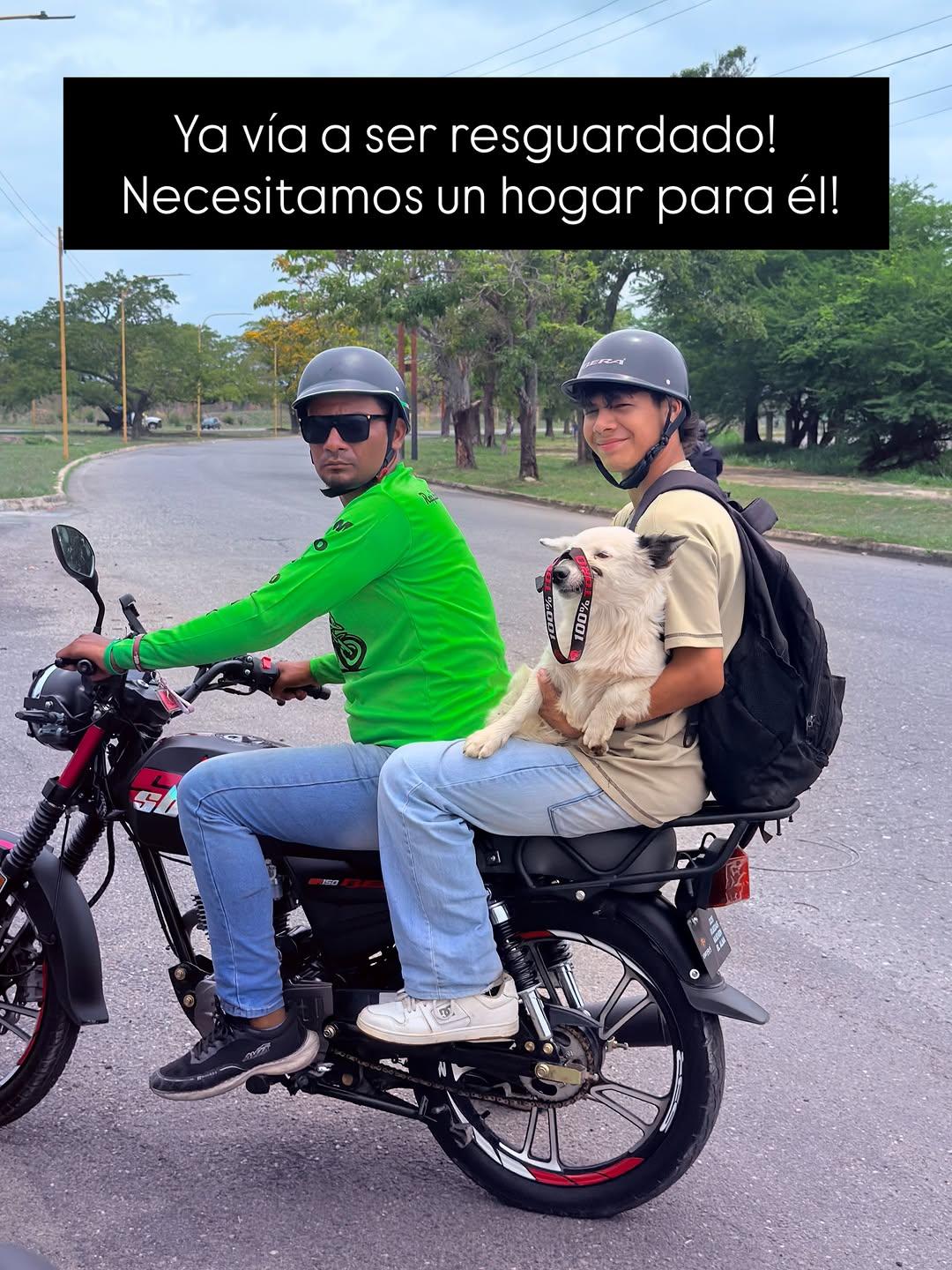 Sin nombre