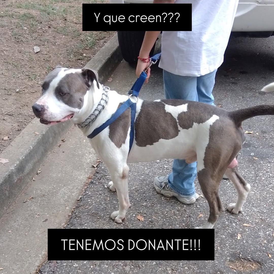 Sin nombre