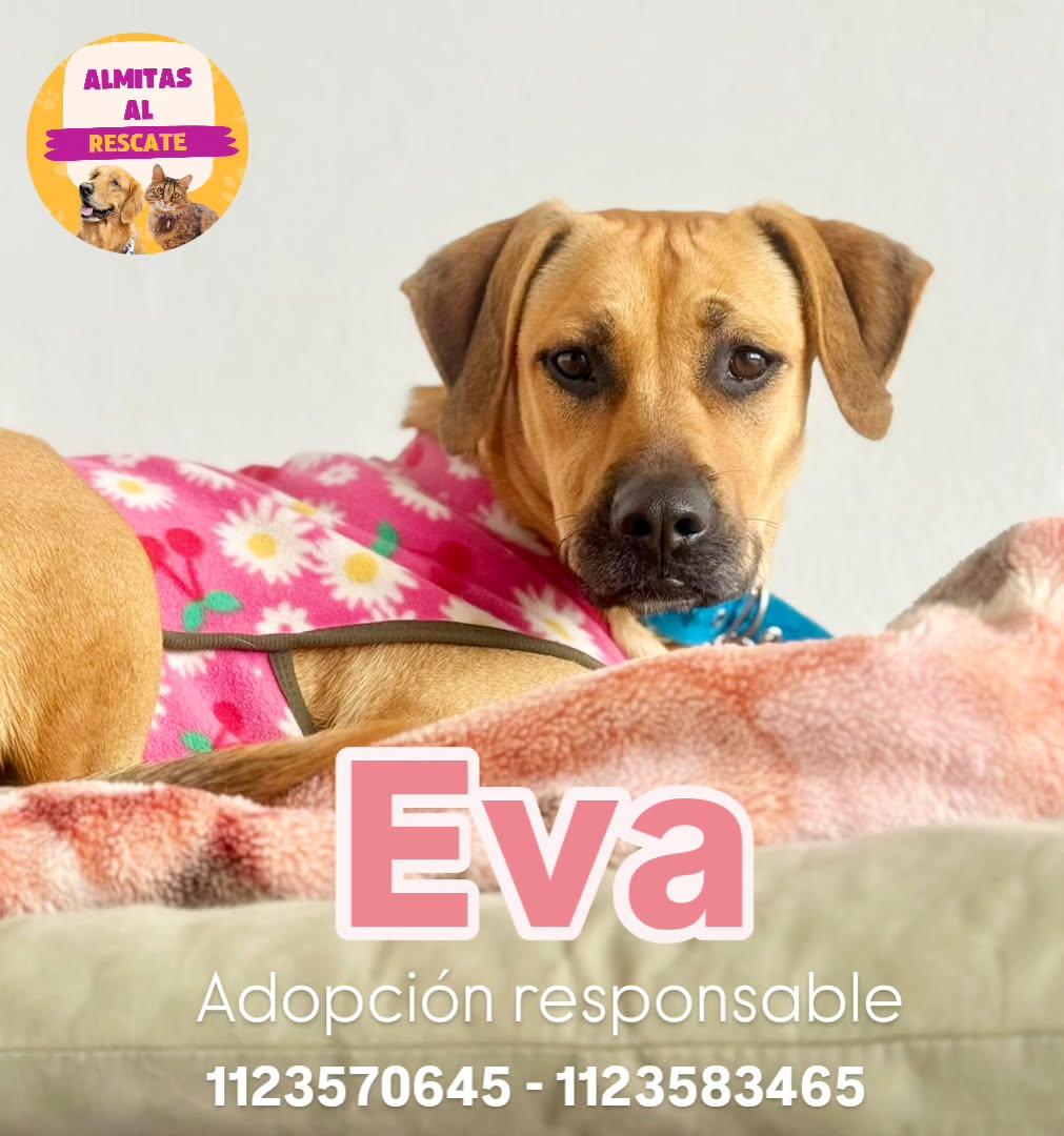Eva