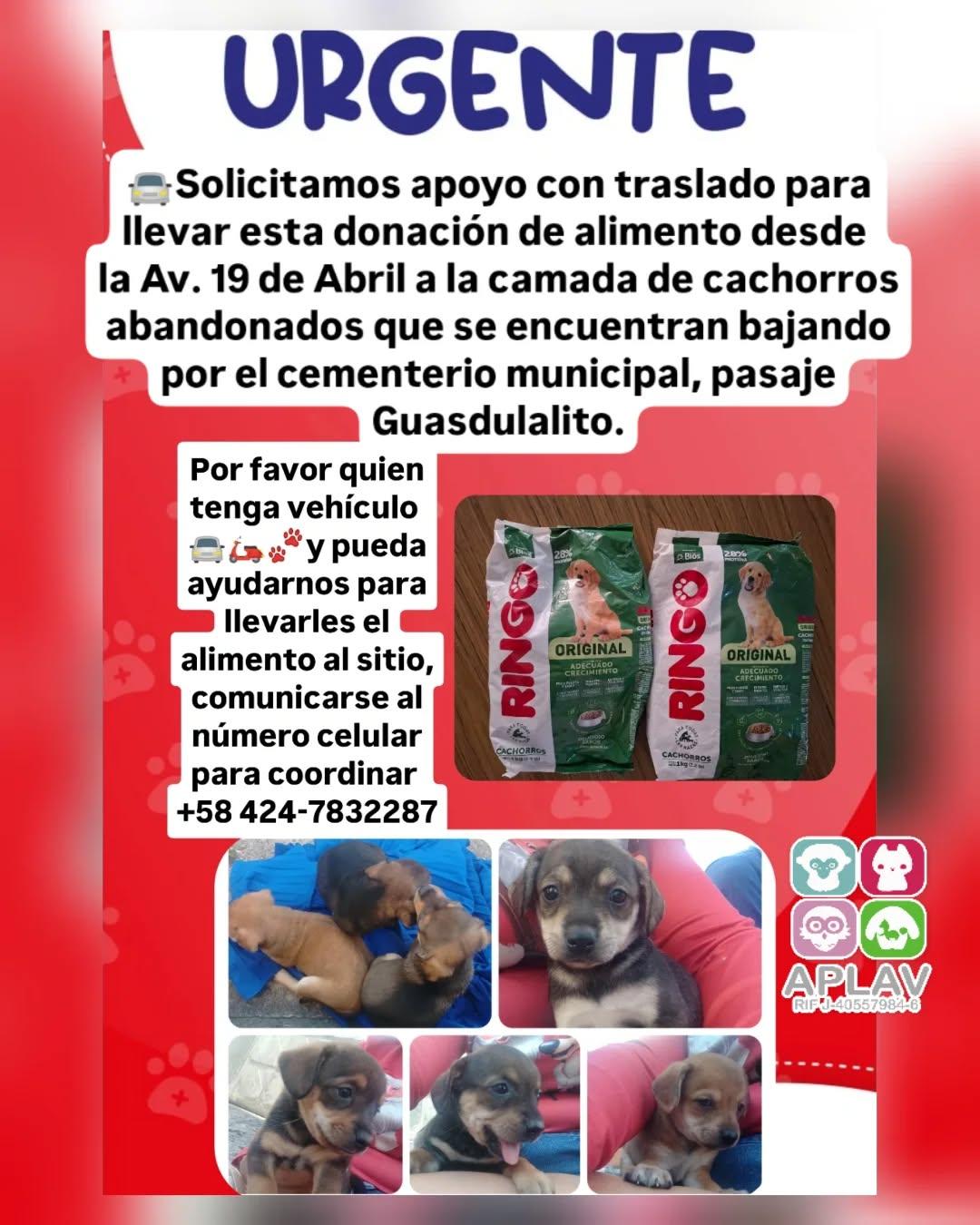 Sin nombre (1/8)