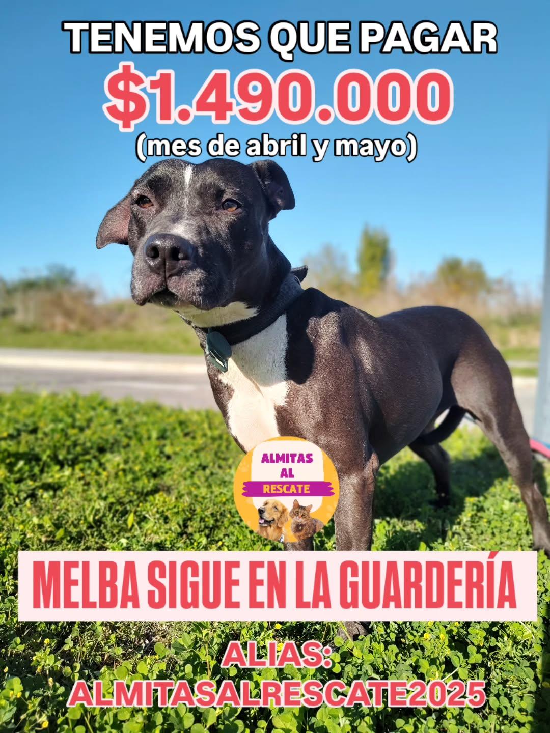 Melba