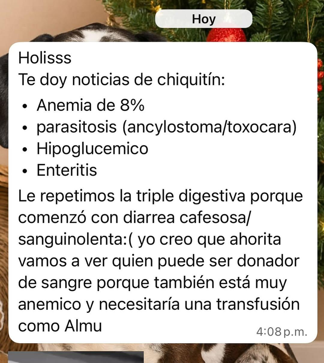 Anto (2/2)
