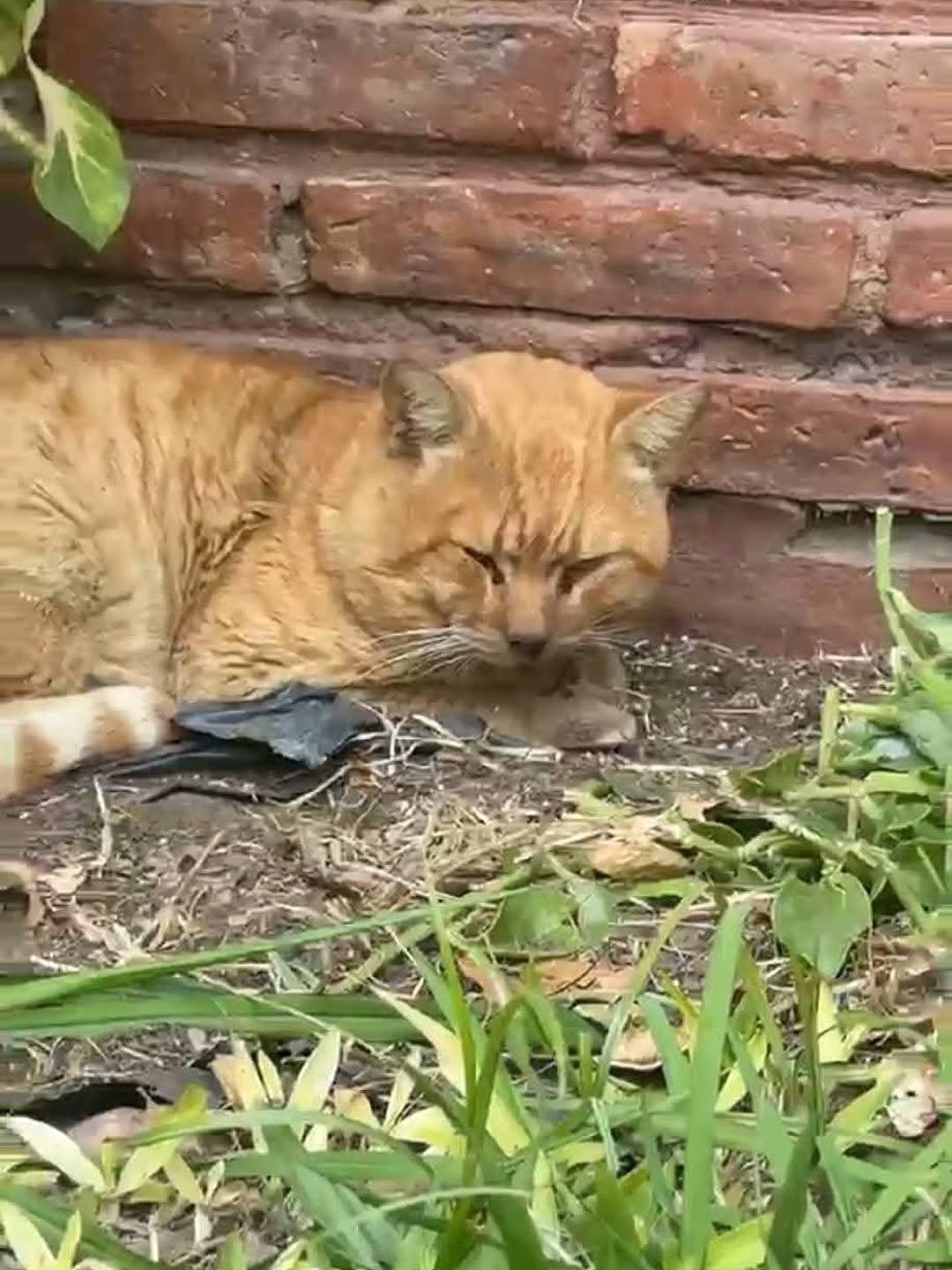 Sin nombre (1/6)