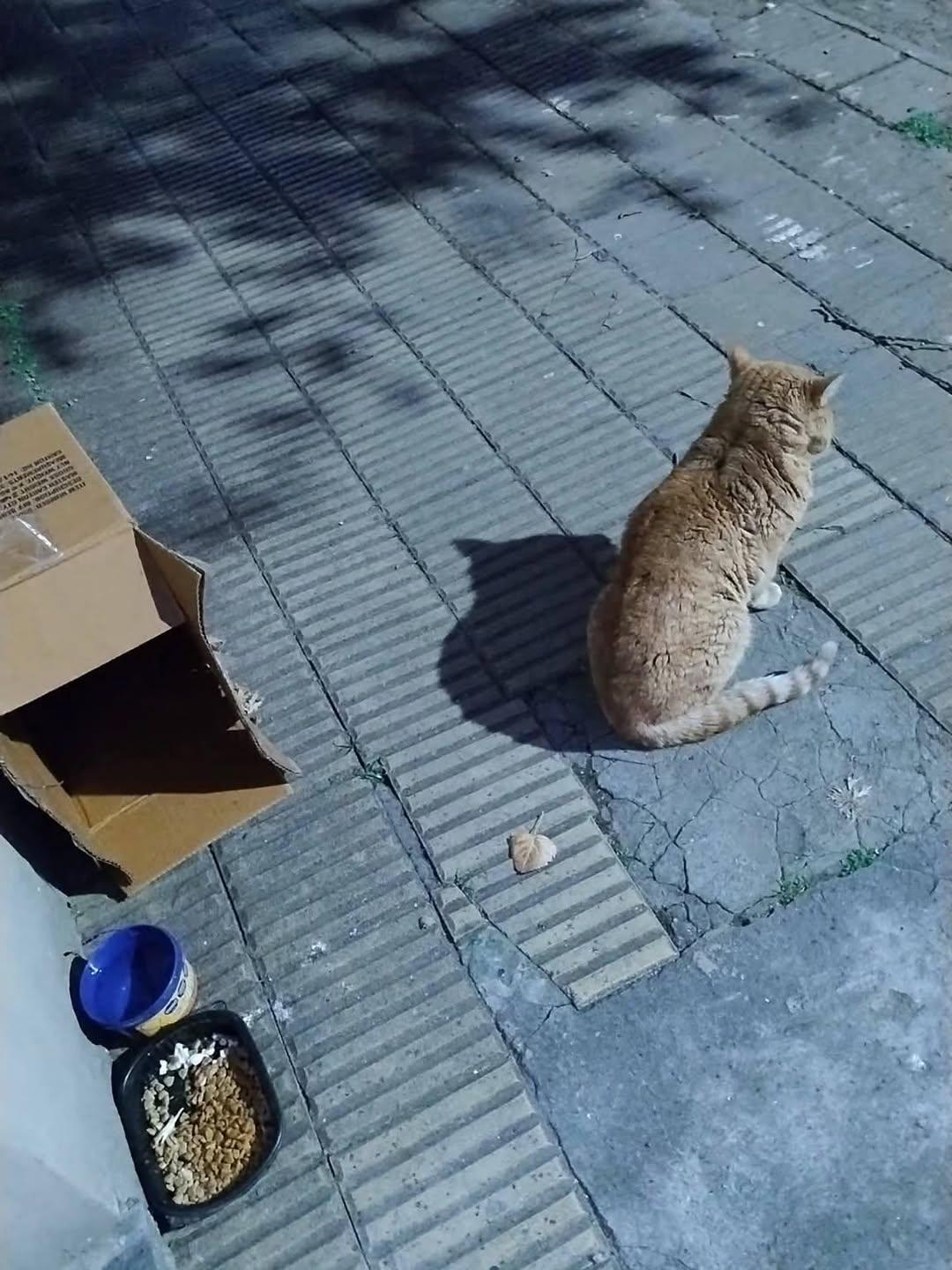 Sin nombre (2/6)