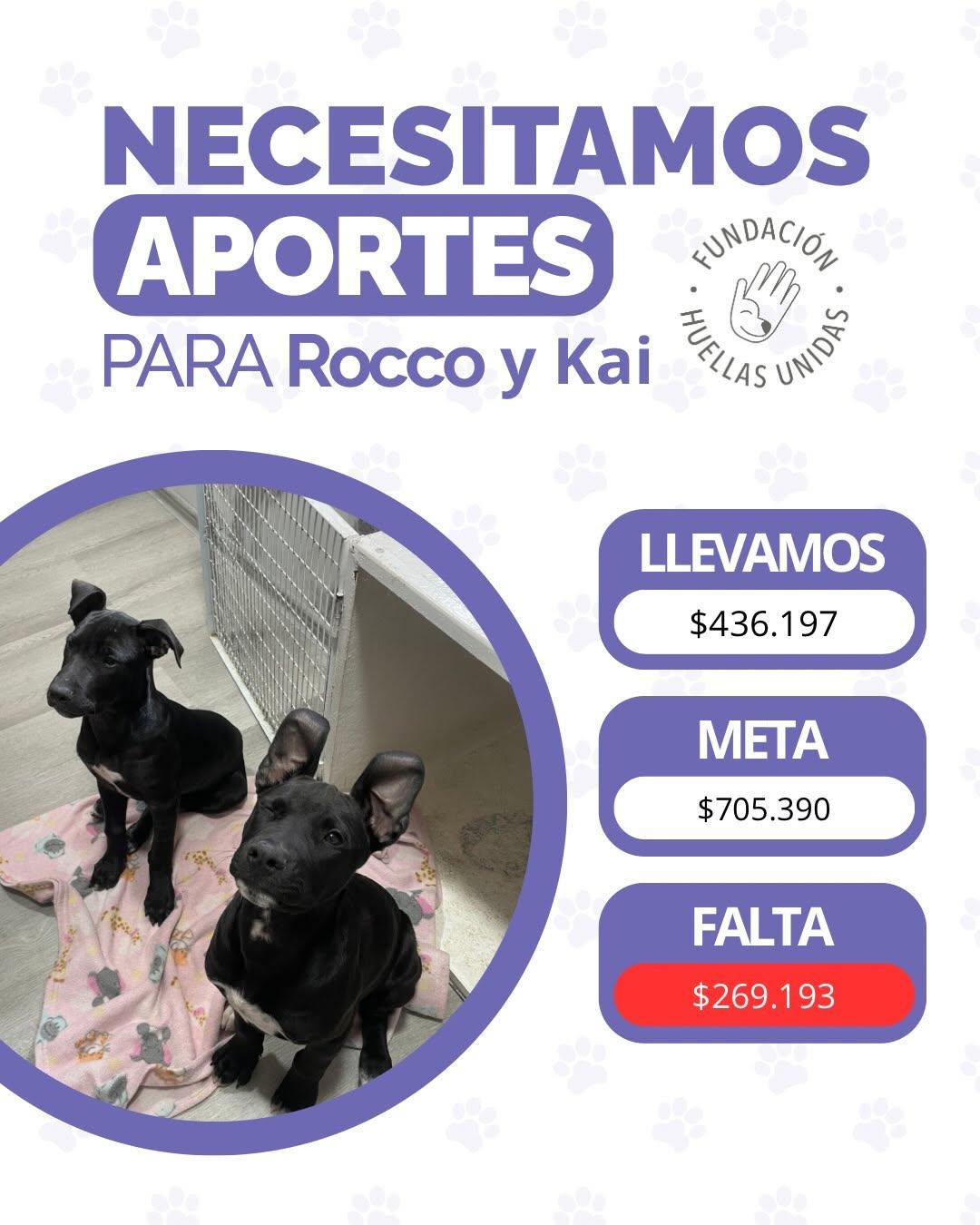 Kai, Rocco (1/5)