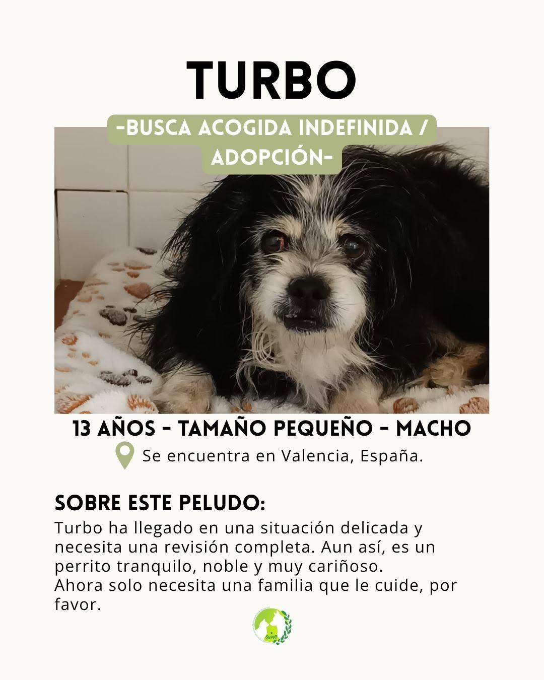 Turbo (2/4)