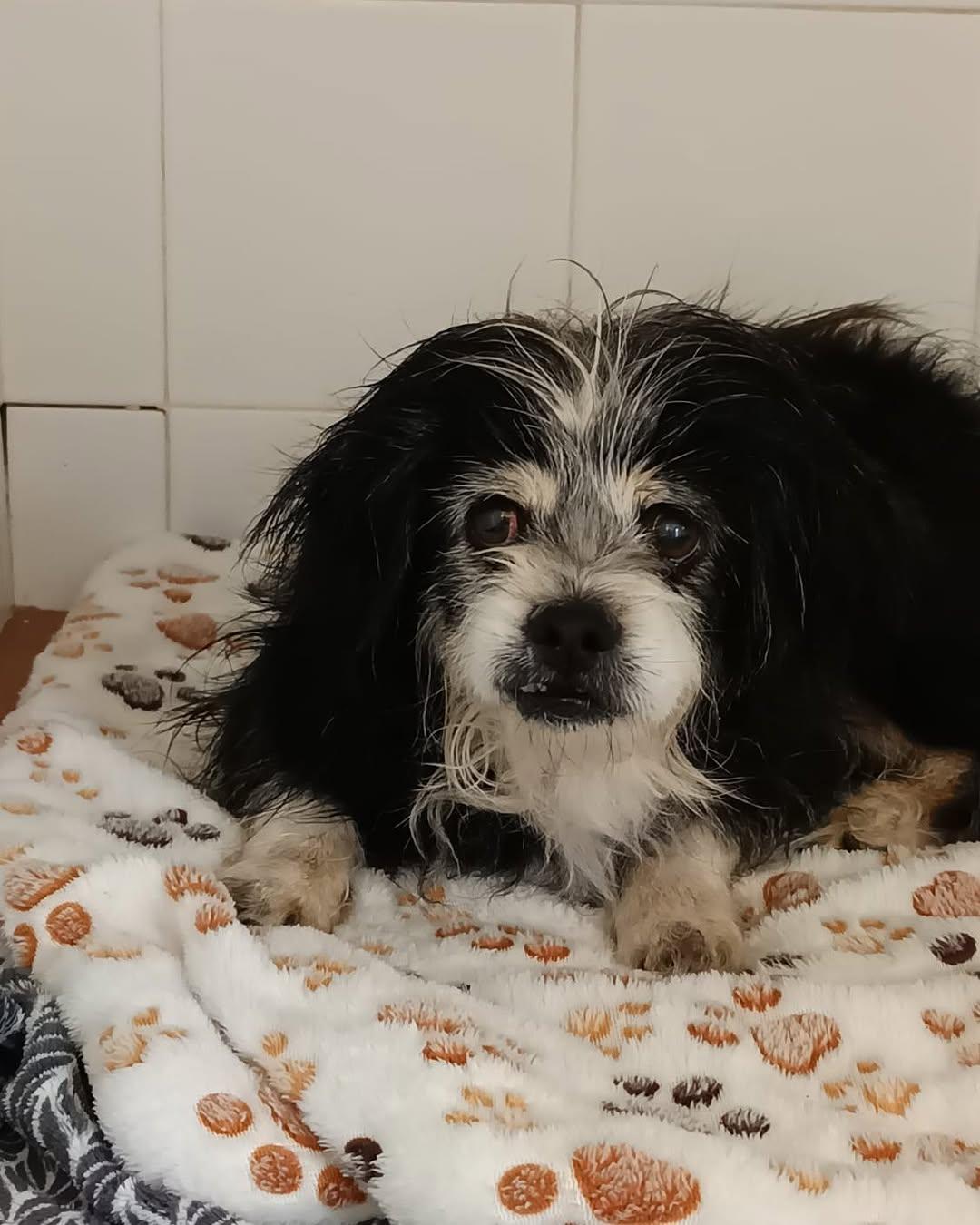 Turbo (4/4)