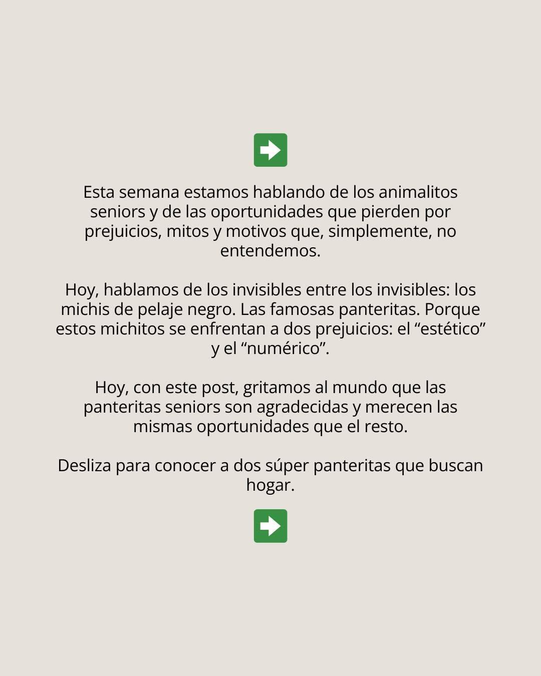 2 animalitos (2/4)