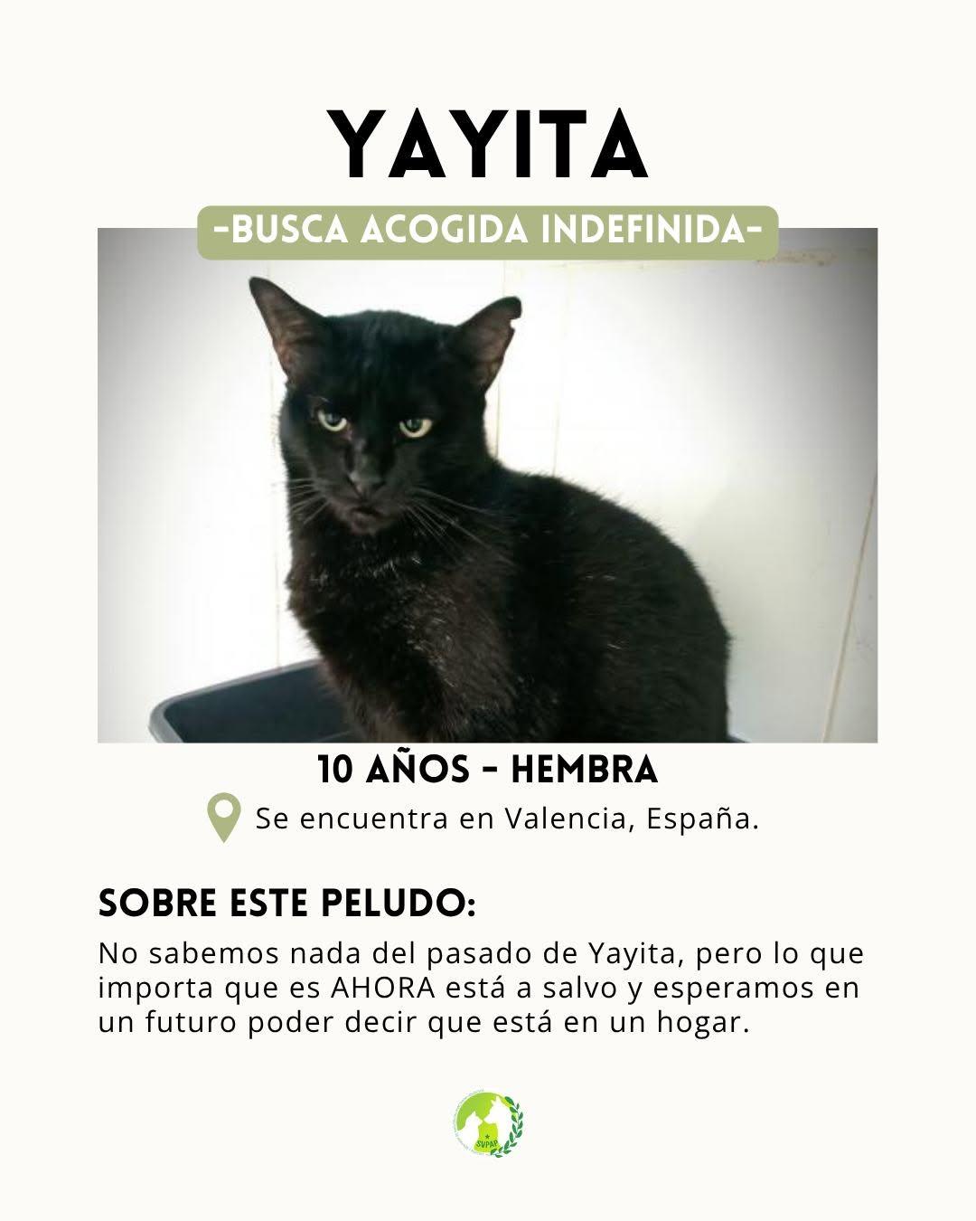 2 animalitos (4/4)