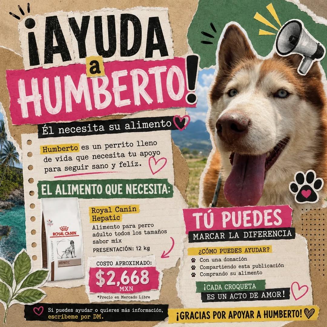 Humberto