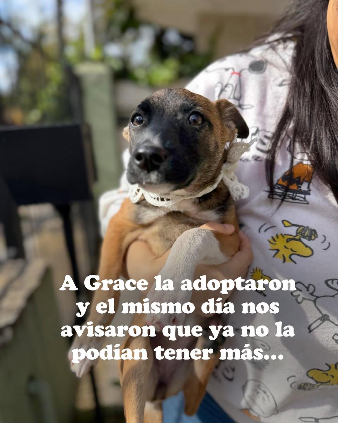 Grace (1/5)