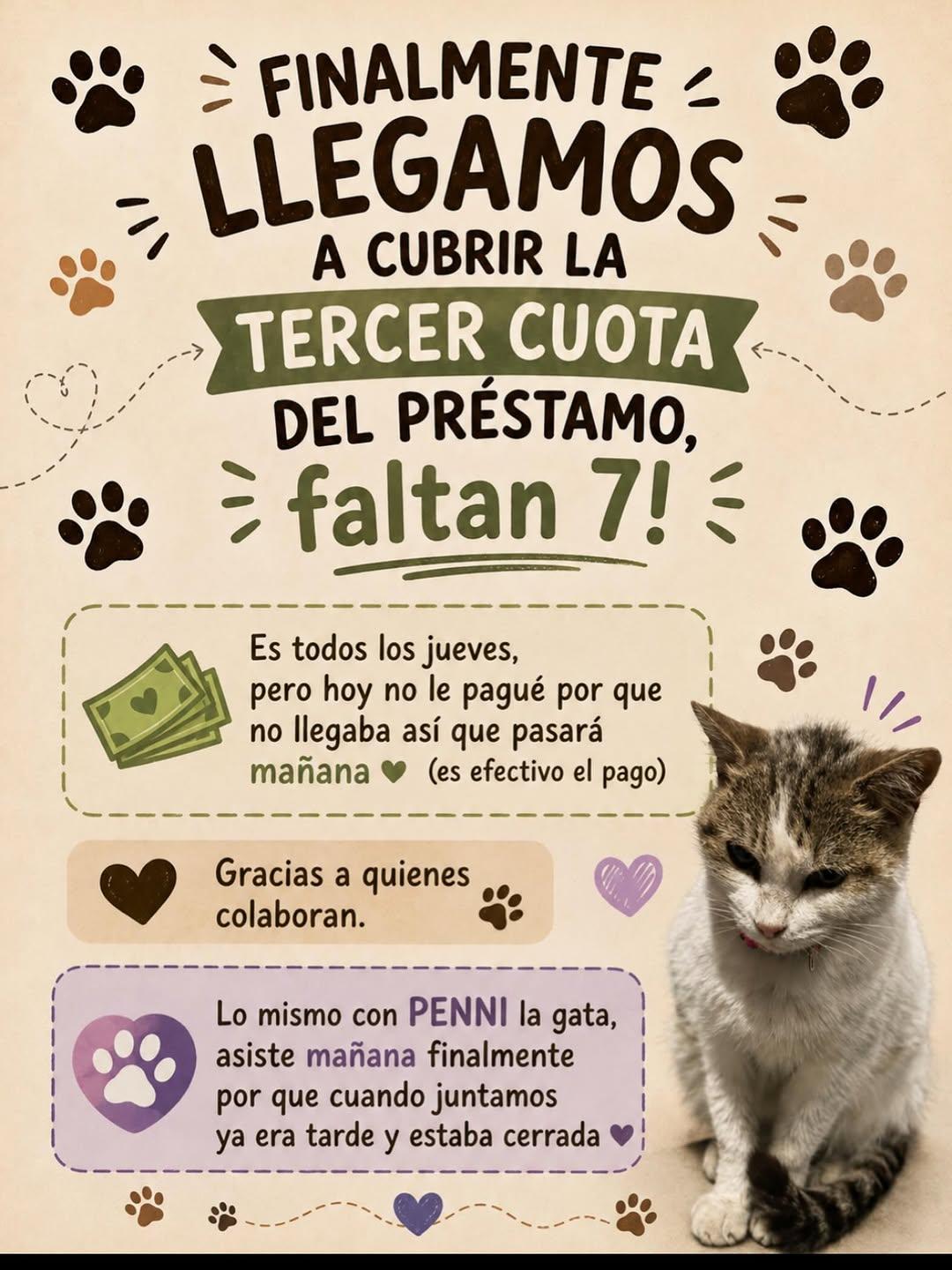 PENNI