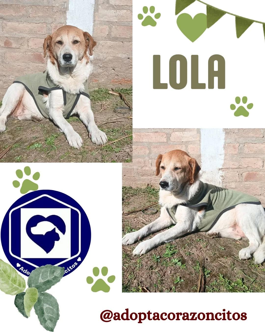 Lola