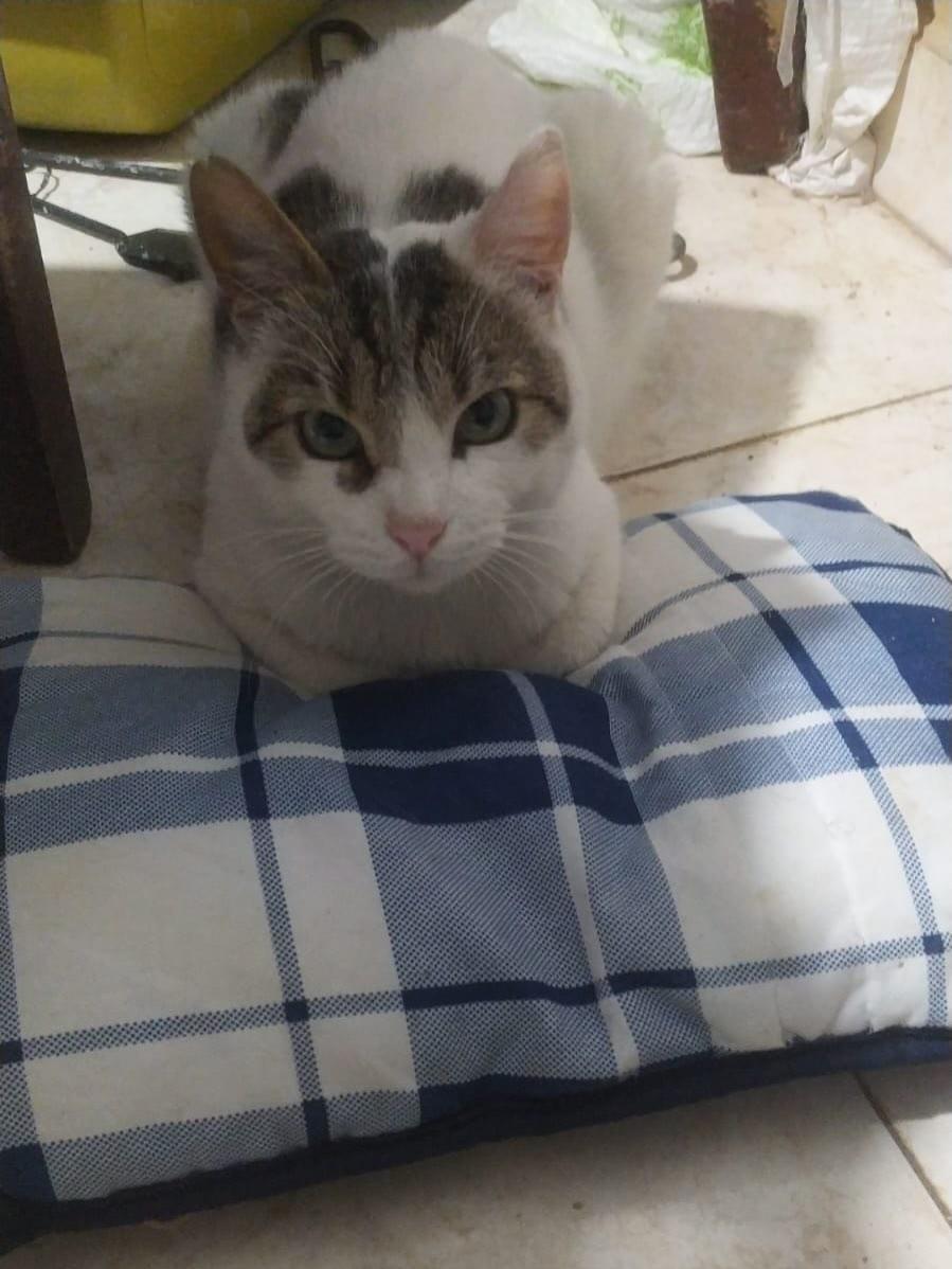 Leopoldo (8/10)