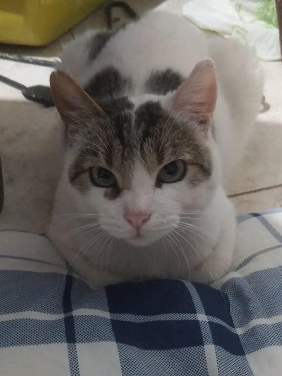 Leopoldo (9/10)