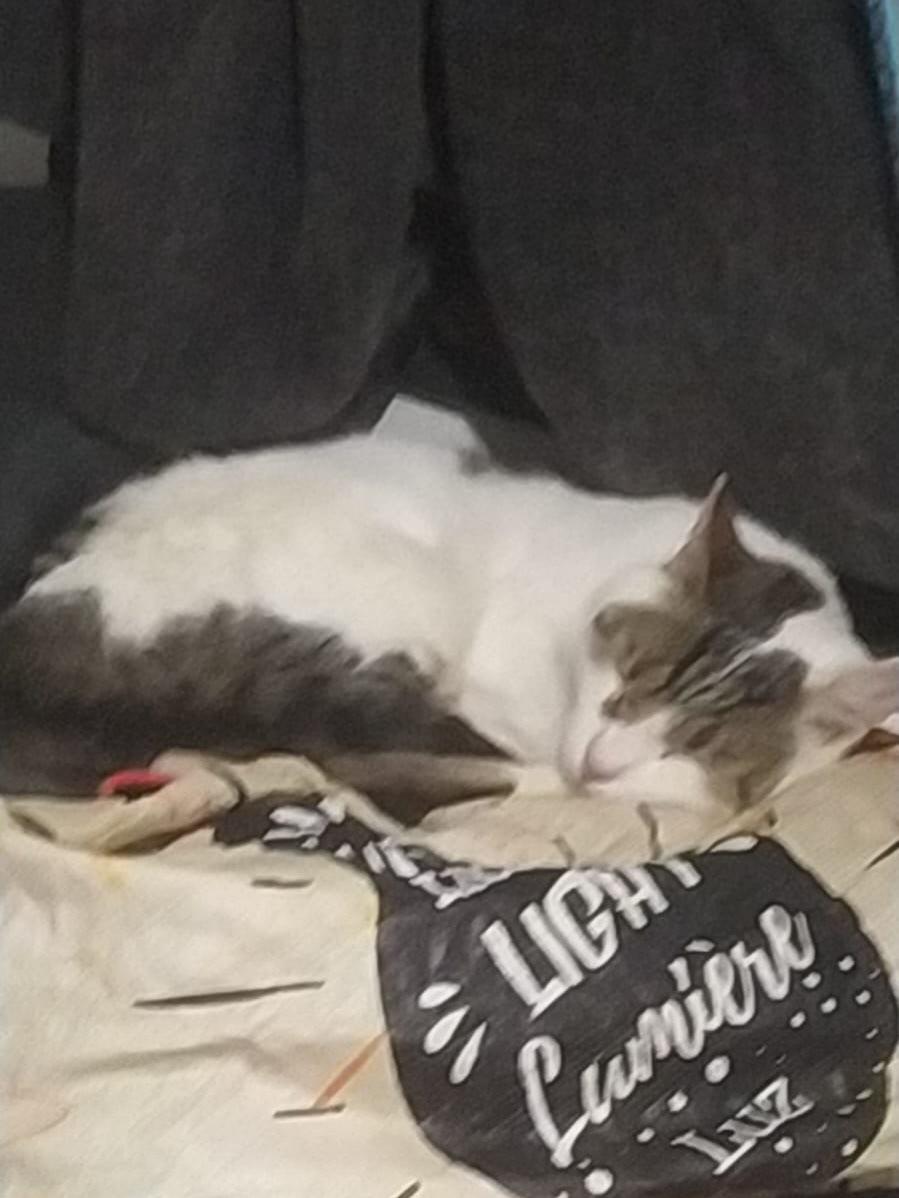 Leopoldo (10/10)