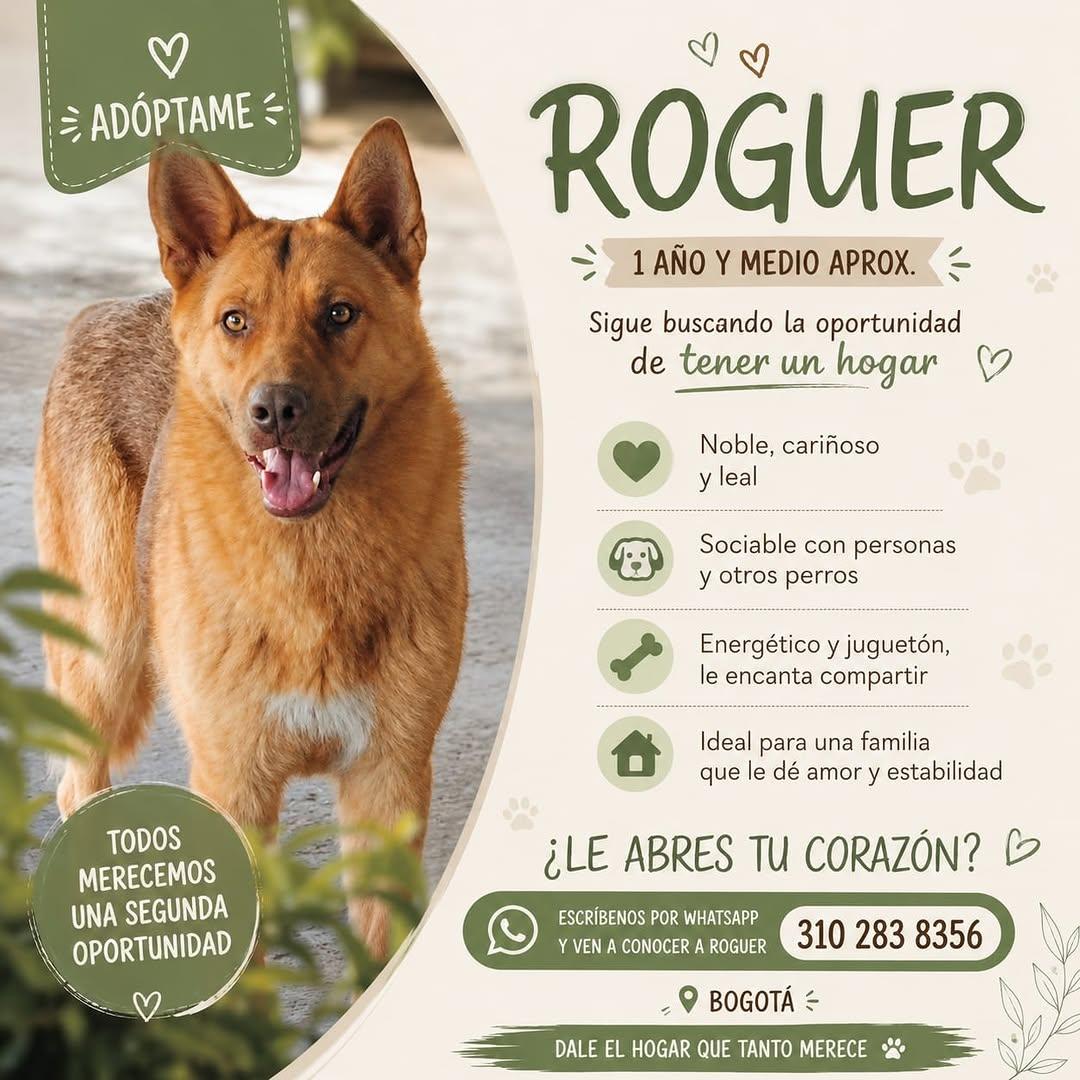 Roguer
