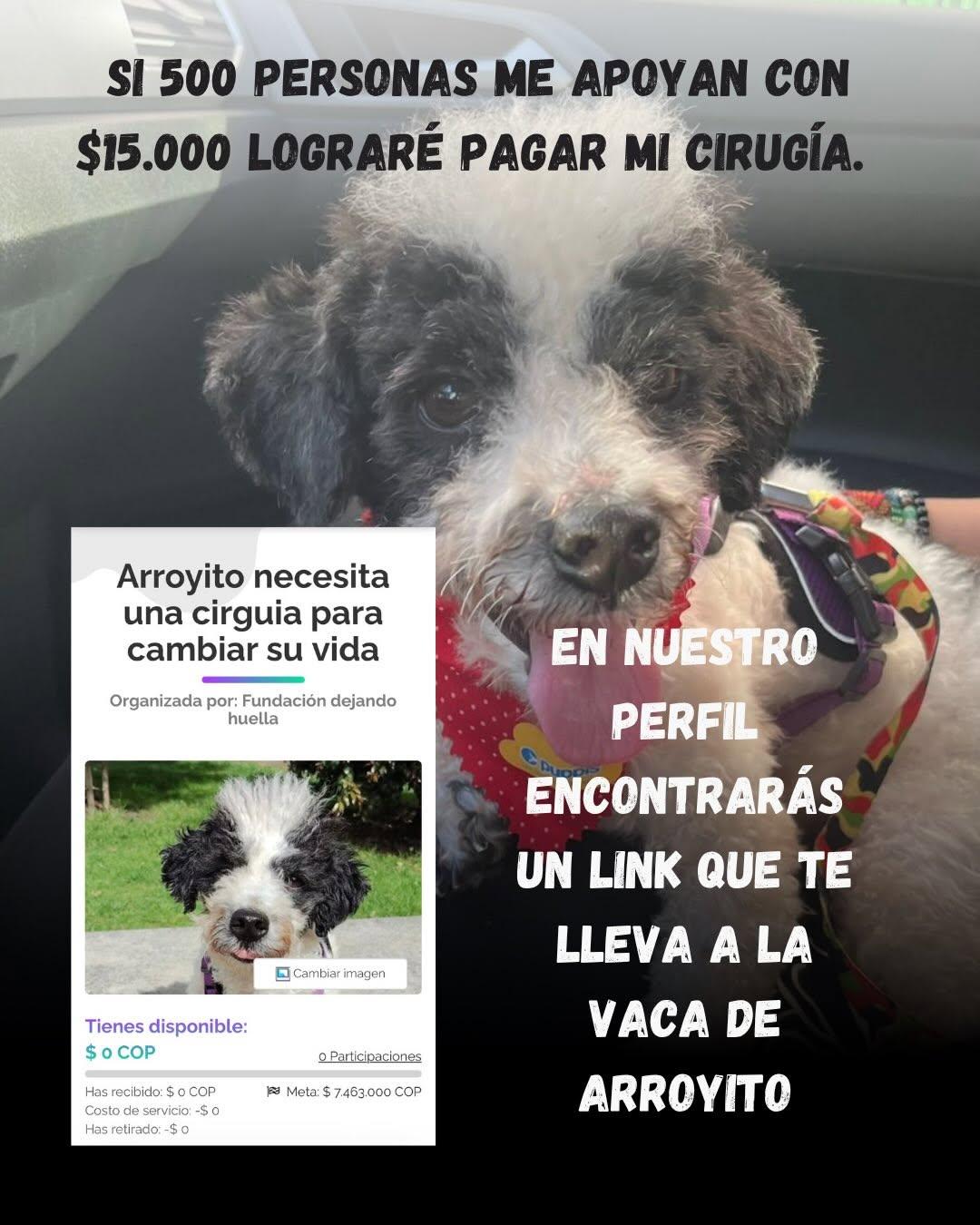 Arroyito (12/14)