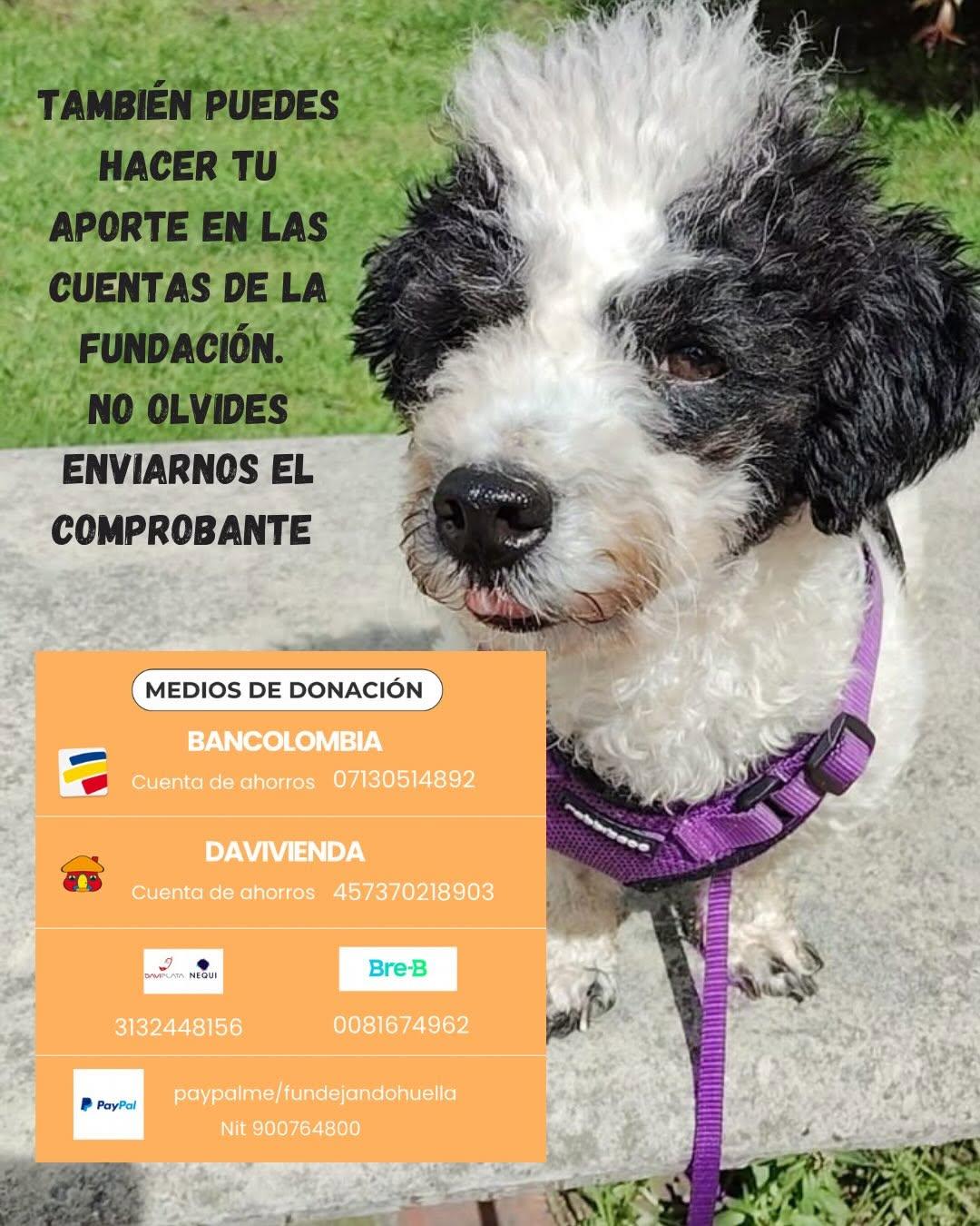 Arroyito (13/14)