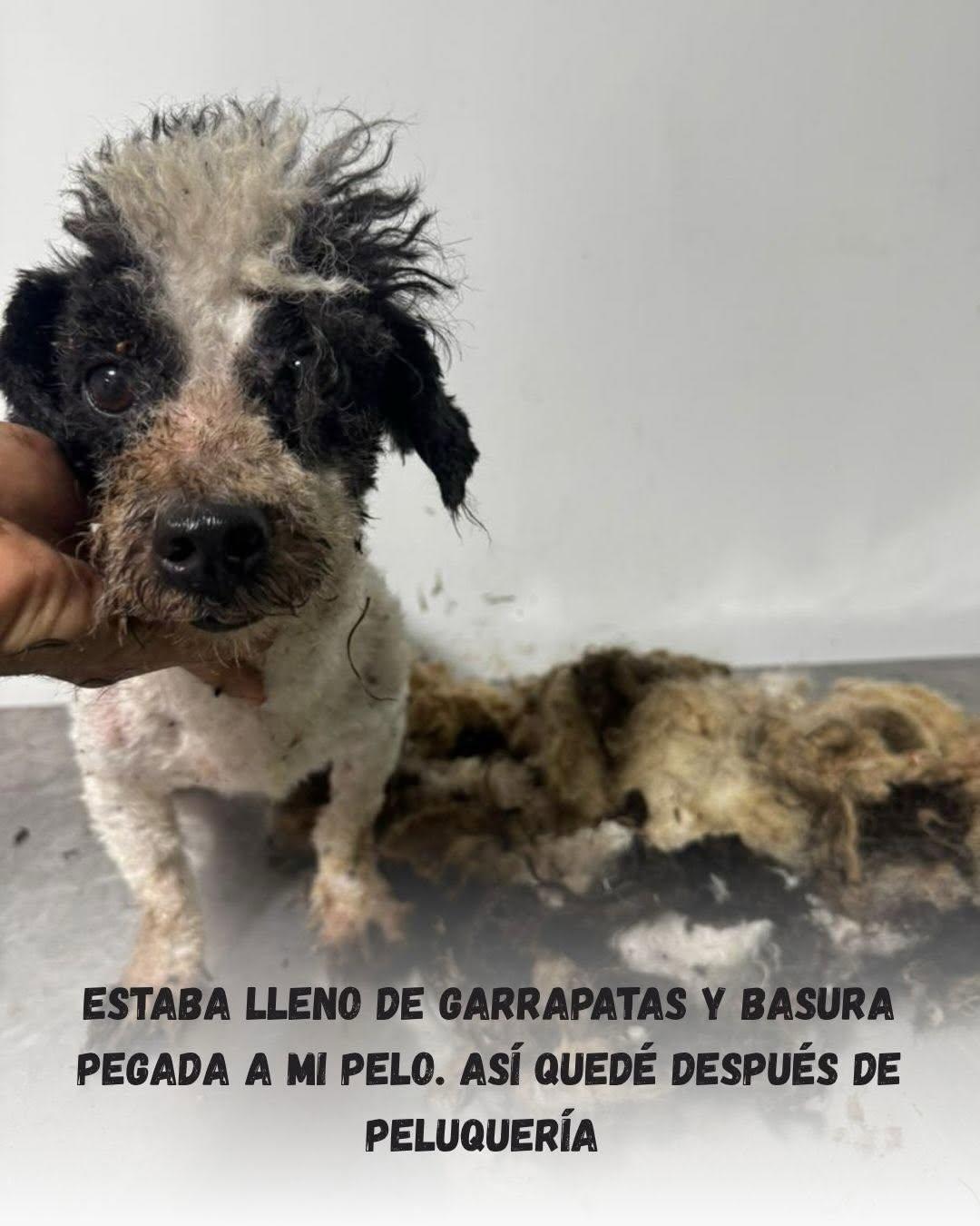 Arroyito (3/14)
