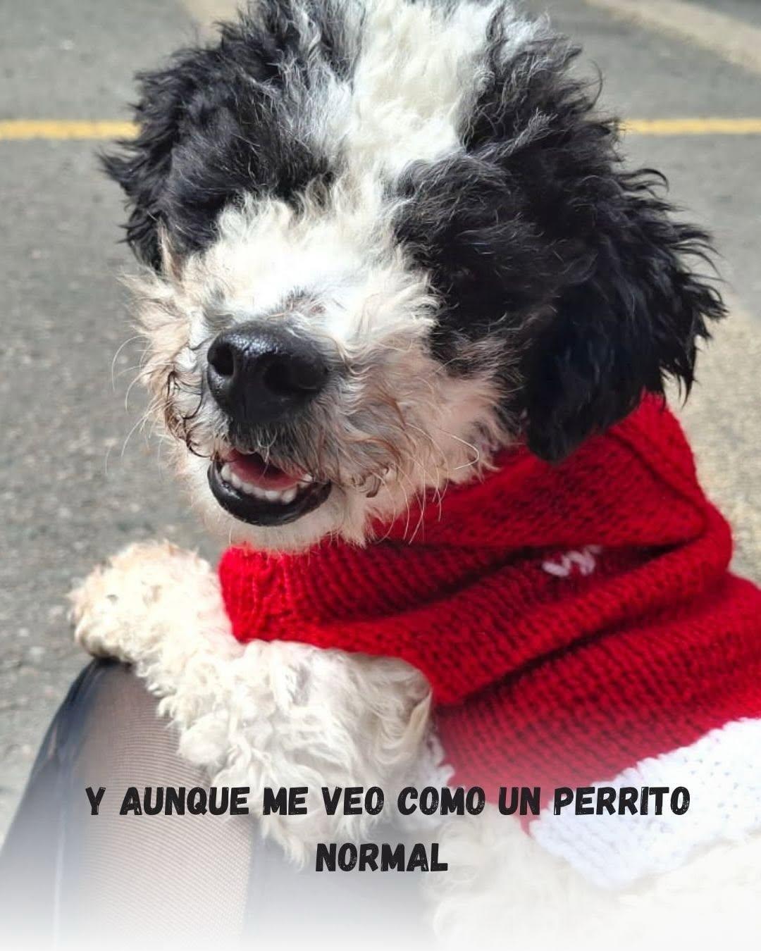 Arroyito (4/14)