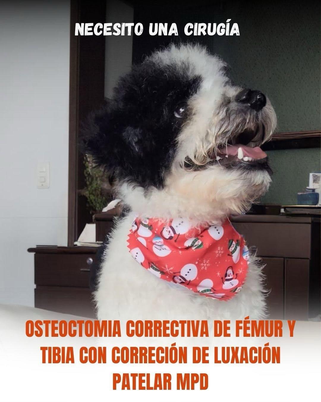 Arroyito (8/14)