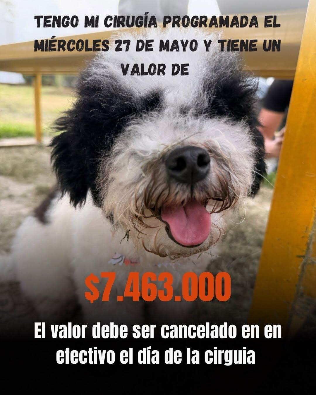Arroyito (9/14)