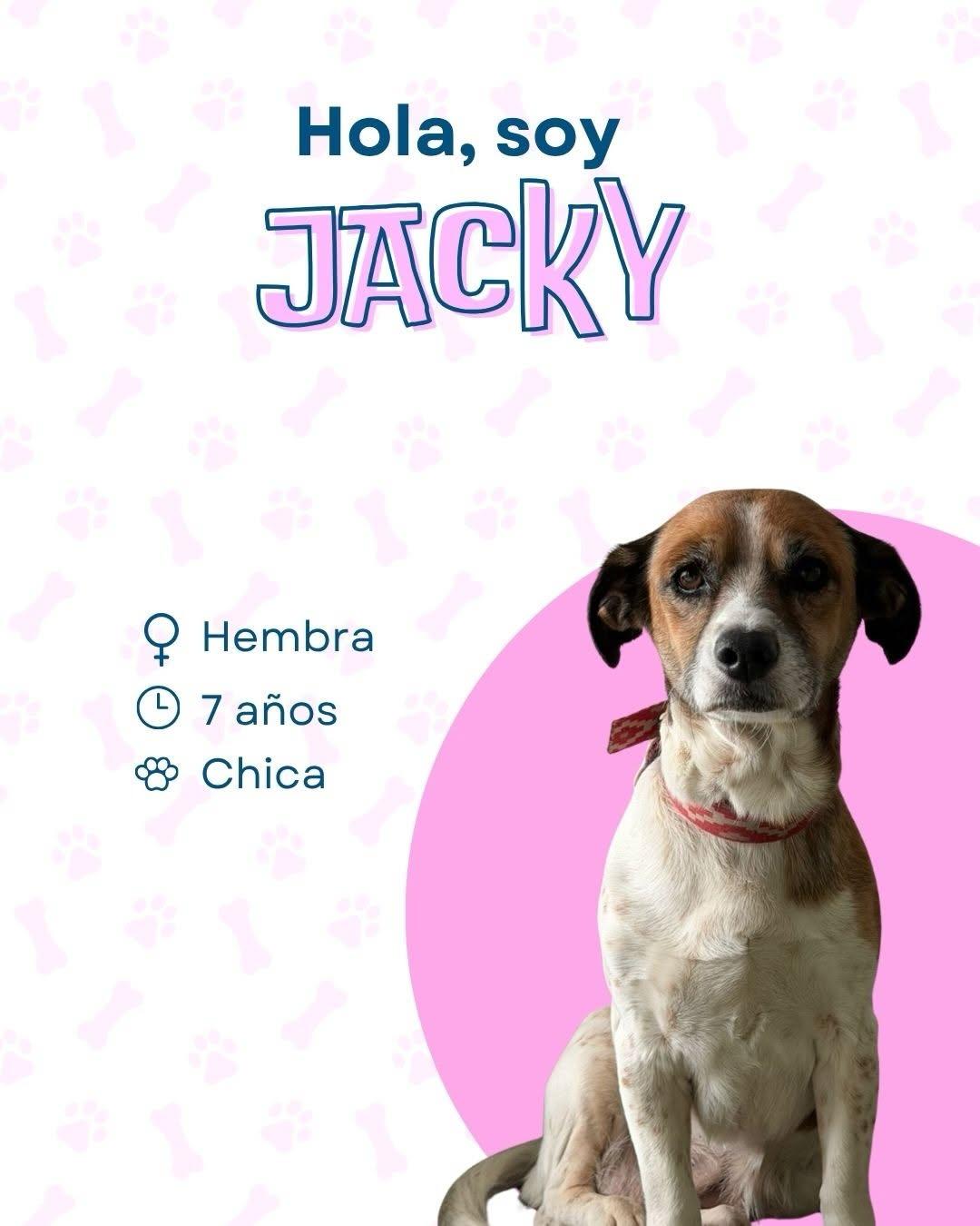 Jacky (1/4)
