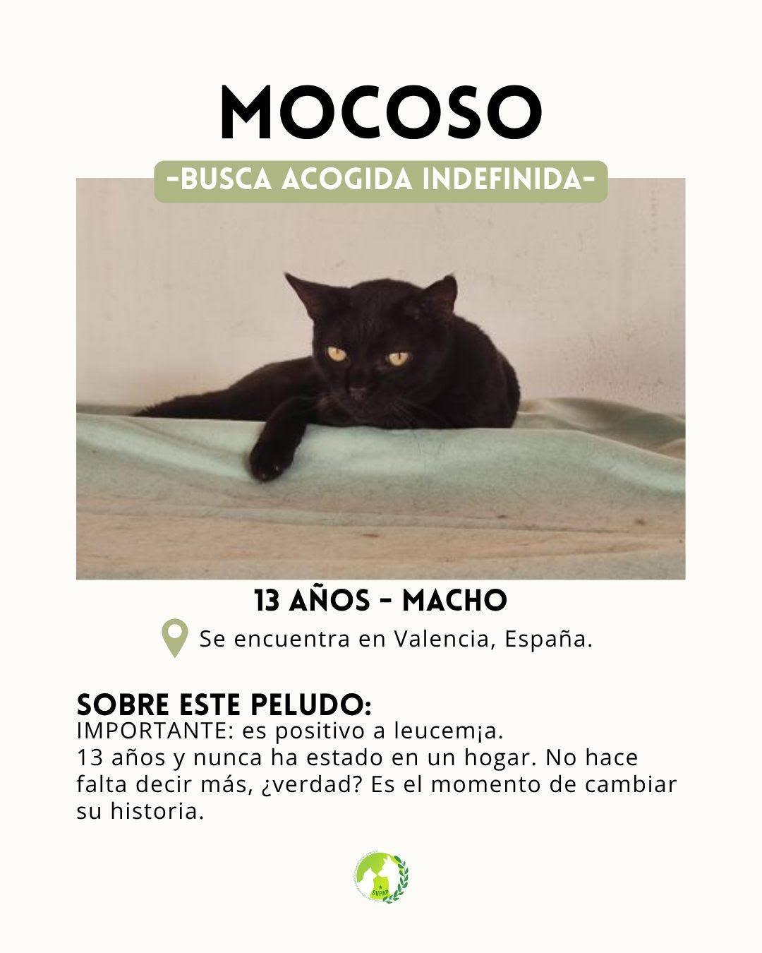 Mocoso (2/5)