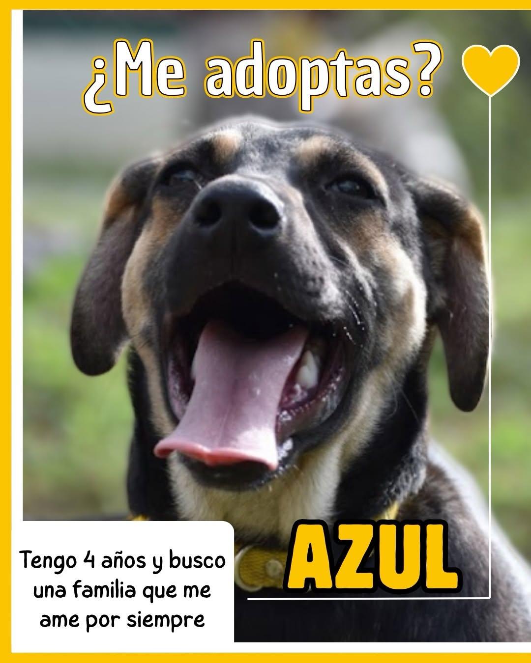 Azul (1/9)