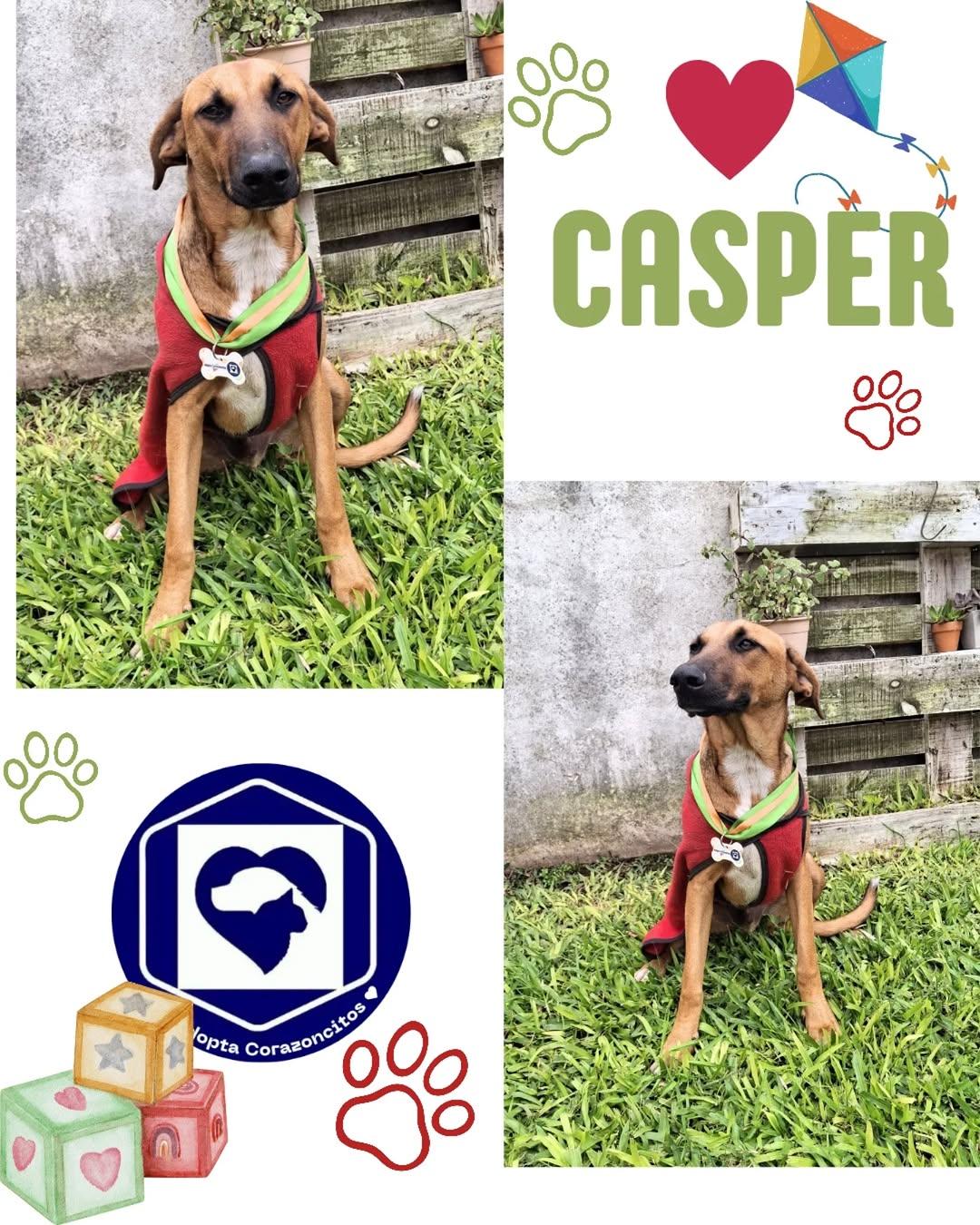 Casper (2/2)