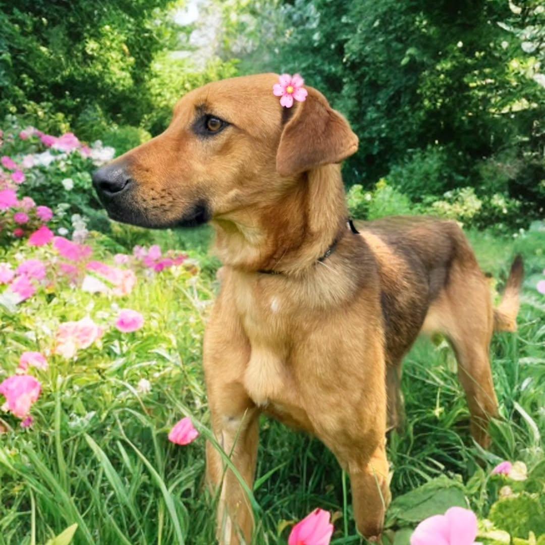 Sin nombre (6/8)