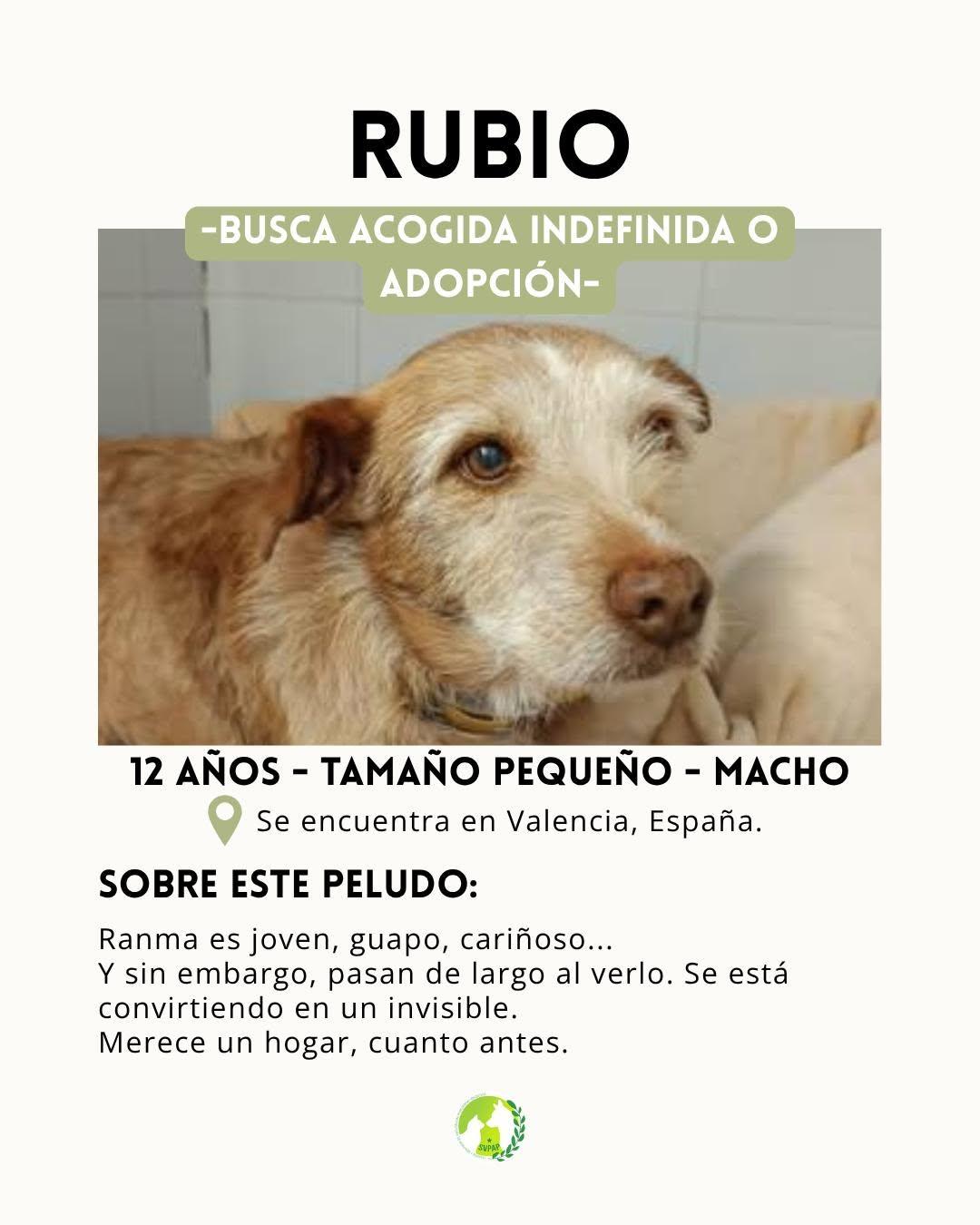 Rubio (2/5)