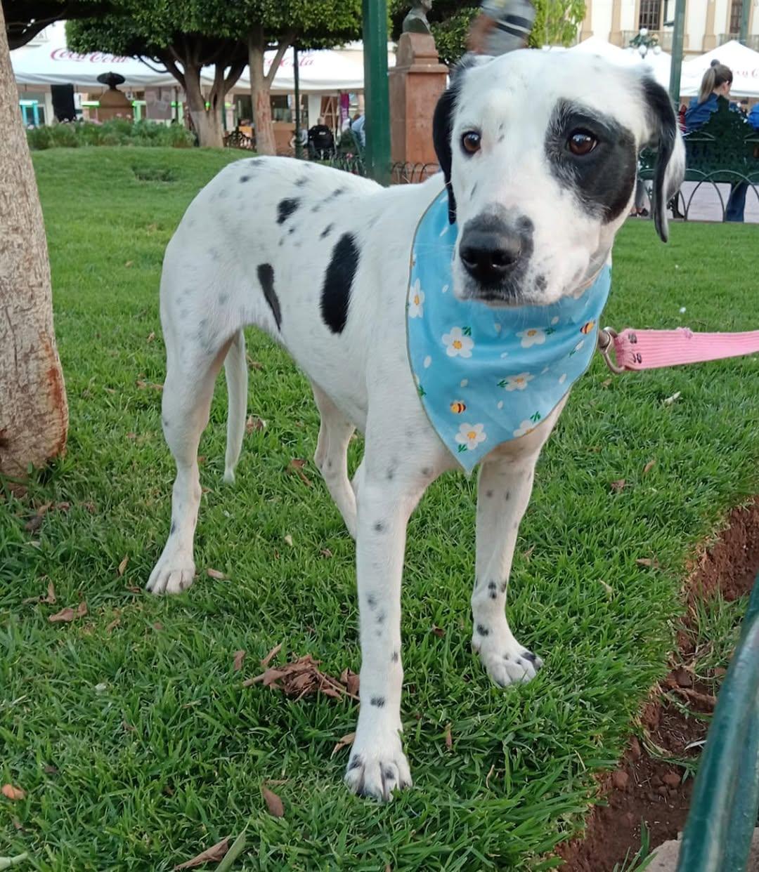 HERA