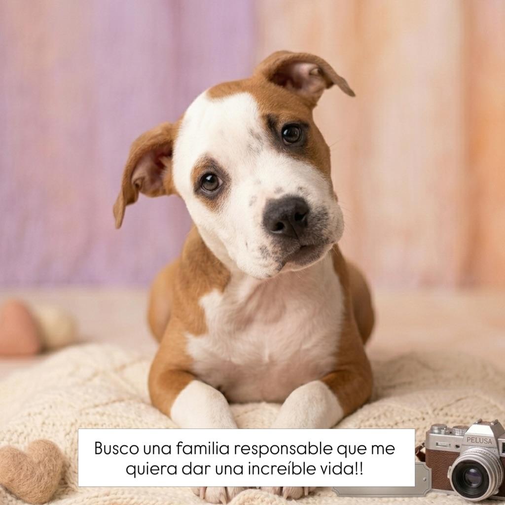 Sin nombre (2/4)