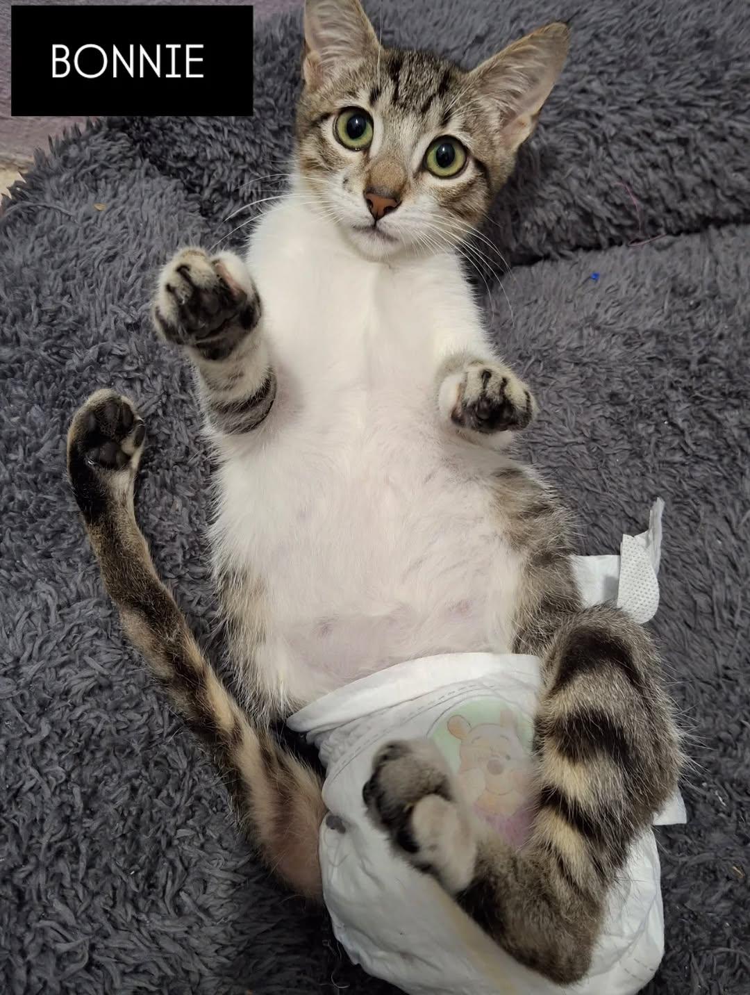 Bonnie